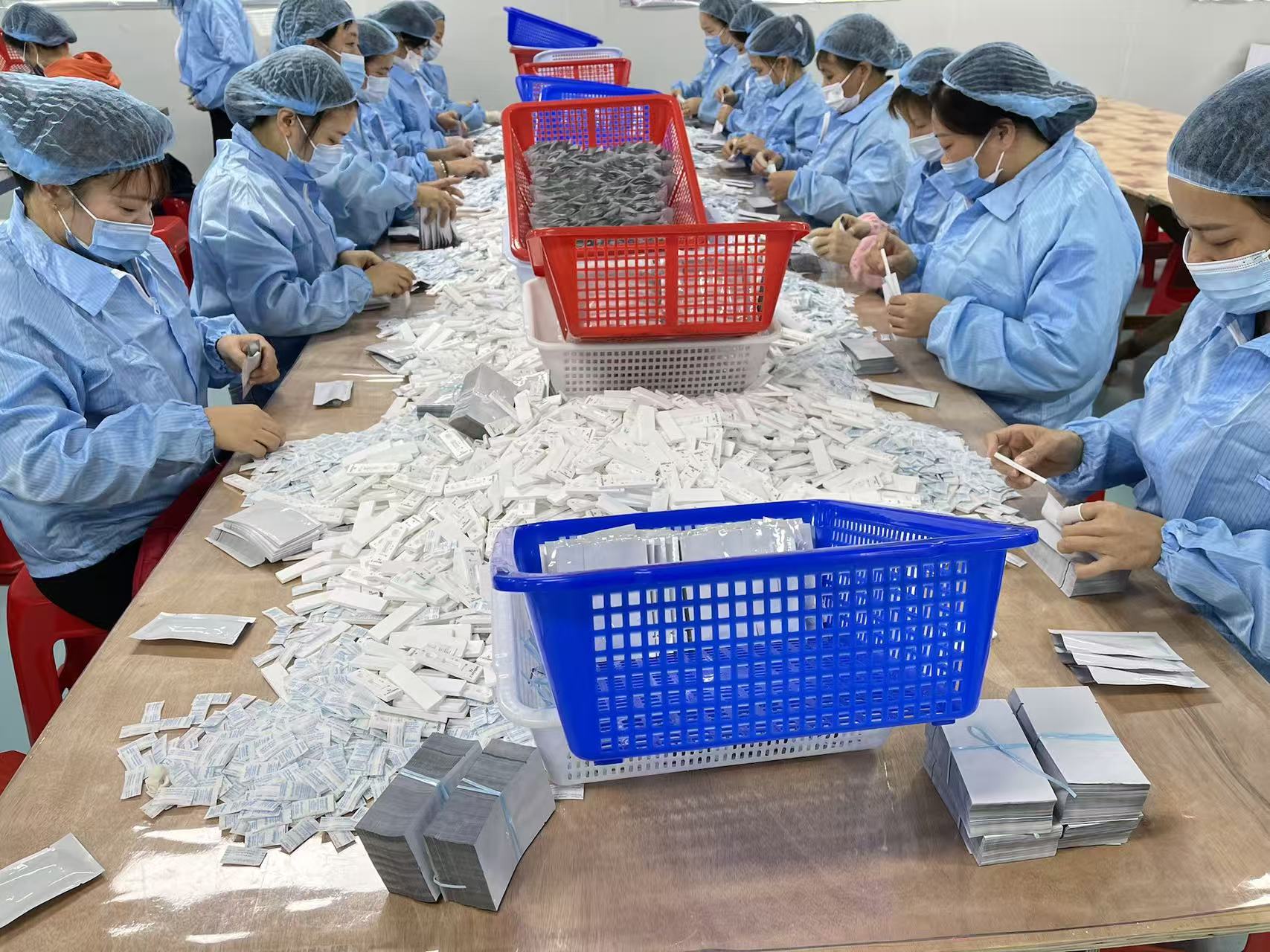 SynvitaBio production line and assembly process
